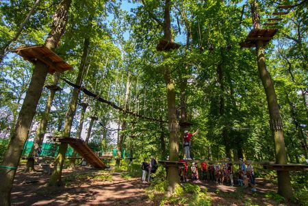 Kletterparcours im Wald mit Menschen